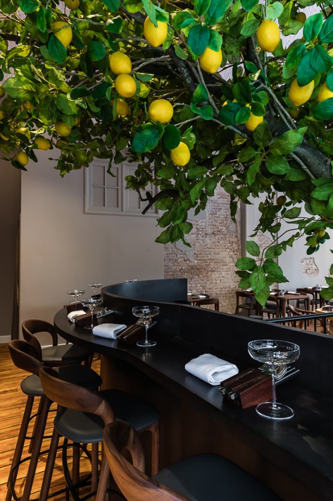 The Lemon Tree 6