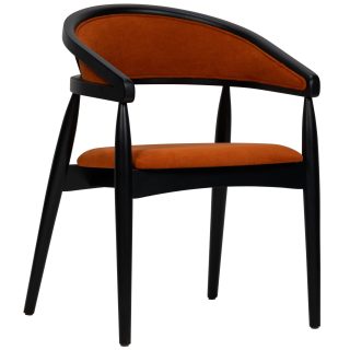 96116170 Armstoel Felix 1hr