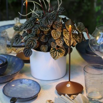 97104820 Tafellamp Pina Bruin 6hr