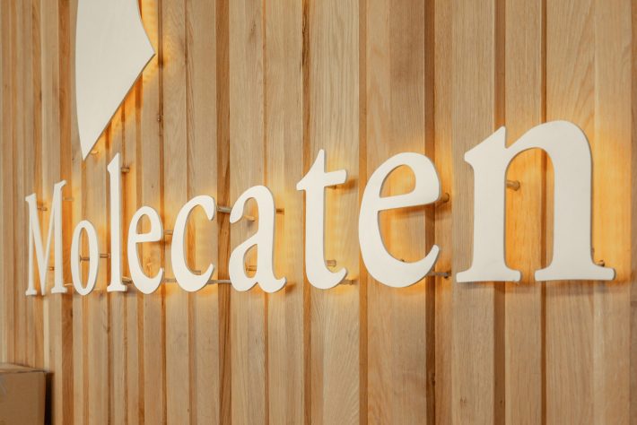 Project Molencaten 11hr