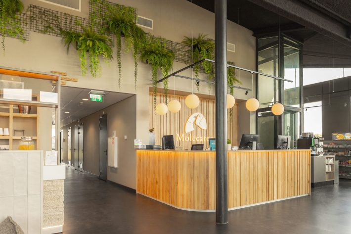 Project Molencaten 17hr