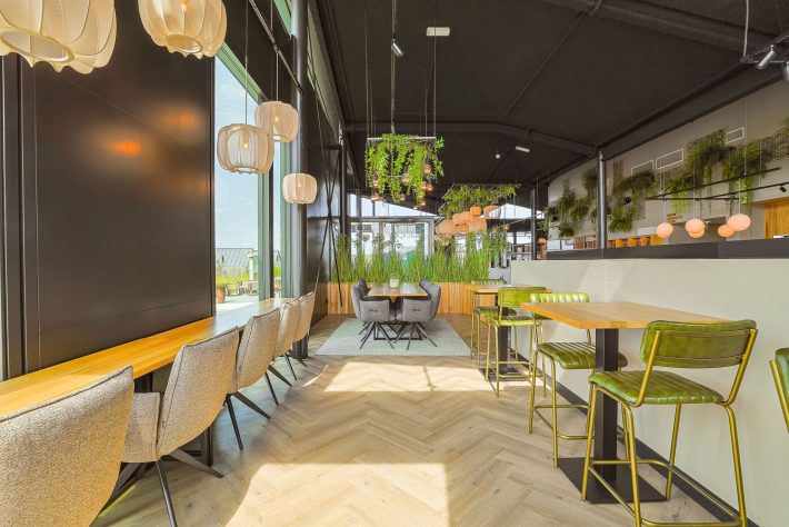 Project Molencaten 20hr