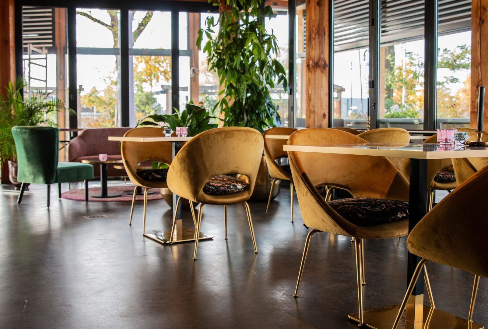 Luxx Food Bar 1hr