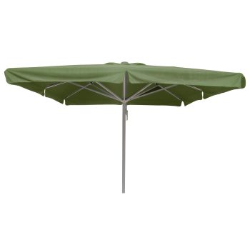 Karin Parasol Olive Platframe 1hr
