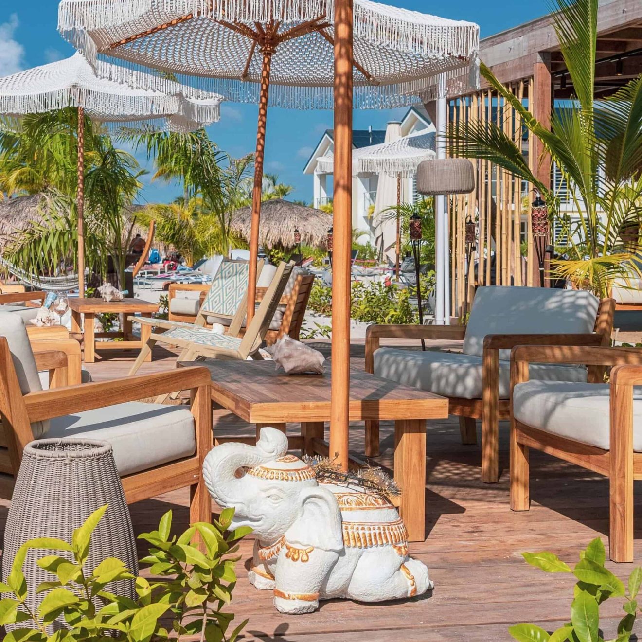 Jumbo Parasolvoet Hr