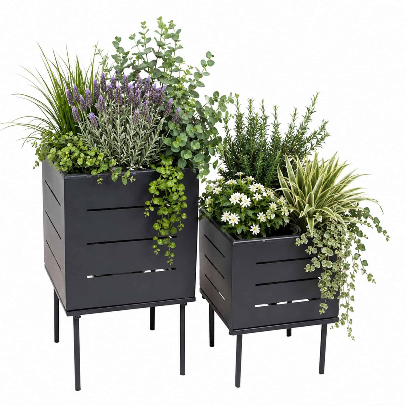96911690 Nowa Plantenset 1