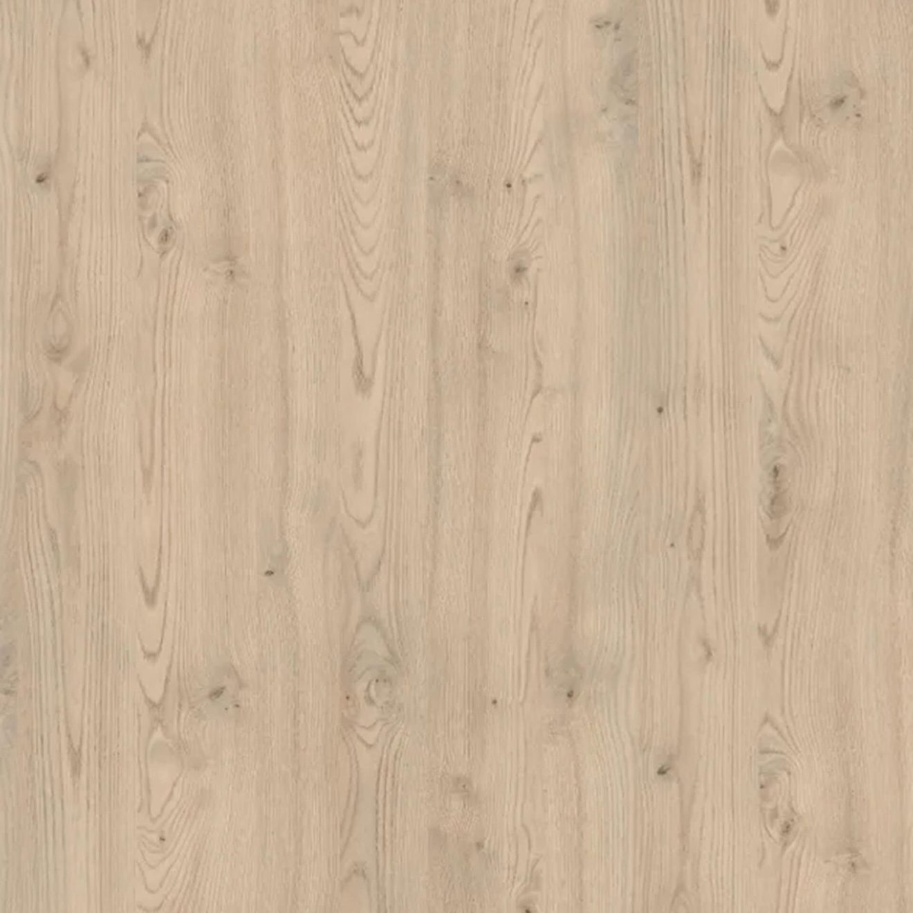 T606 Kentucky Kastanjelaar Sand 2hr.webp